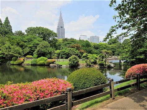 大きい公園 東京 そしてその影に隠れた小さな物語