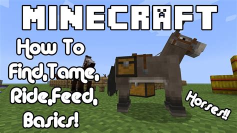 How To Feed Your Minecraft Horse