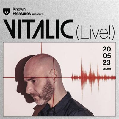 Vitalic Live at Warsaw Stadium: An Epic Night of Electro-Funk!