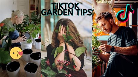 What is Gardening on TikTok?