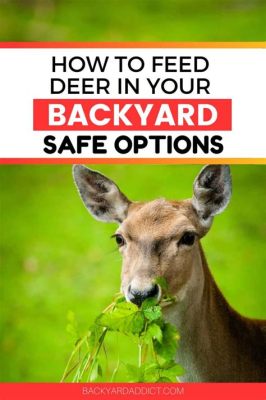 What to Feed a Deer